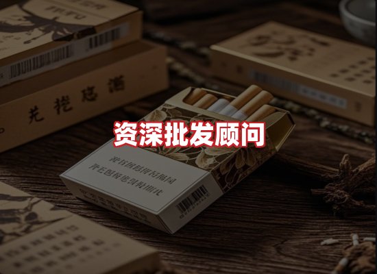 专业团队